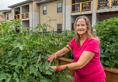 A woman tending to tomatoes in a community garden.