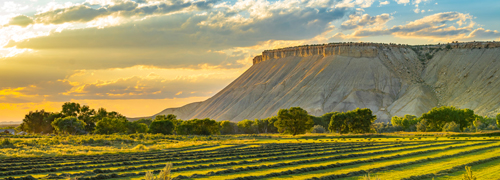 Bookcliffs rock structure at sunset