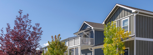 Trees in front of a multifamily building