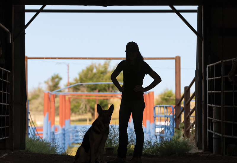 An image of silhouetted person and dog looking out from a darkened garage
