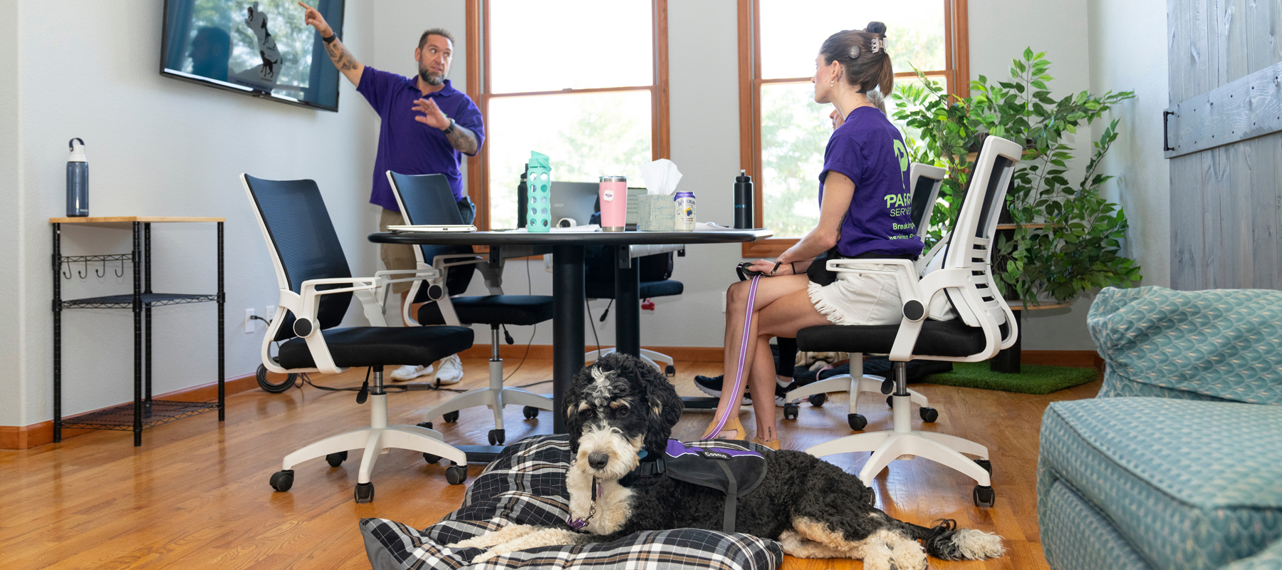 Paragon Service Dogs