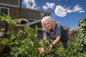 Impact in Colorado