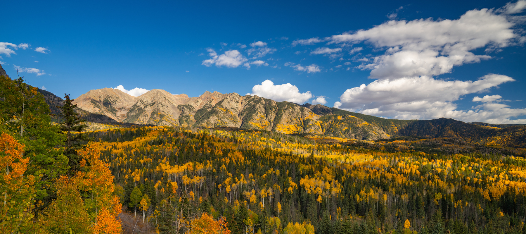A sweeping landscape of colorful autumn trees on hills against blue sky