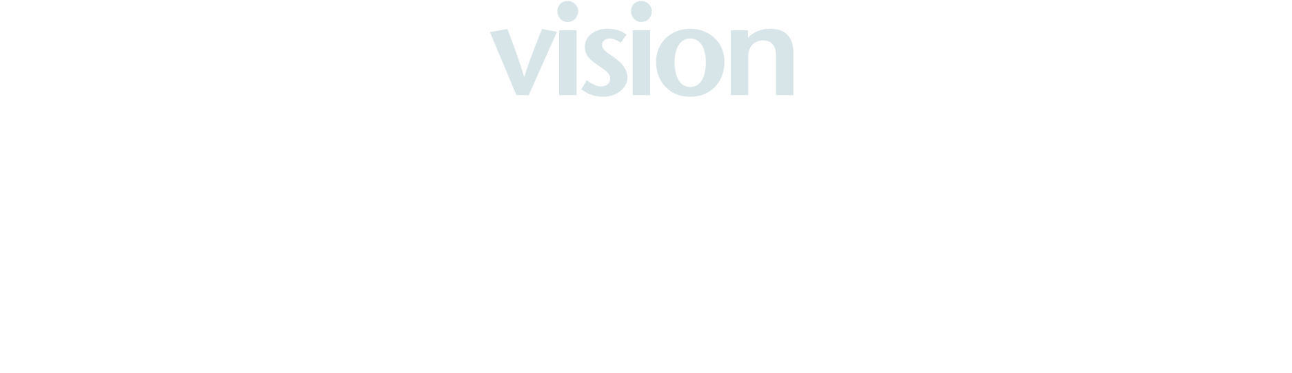 vision