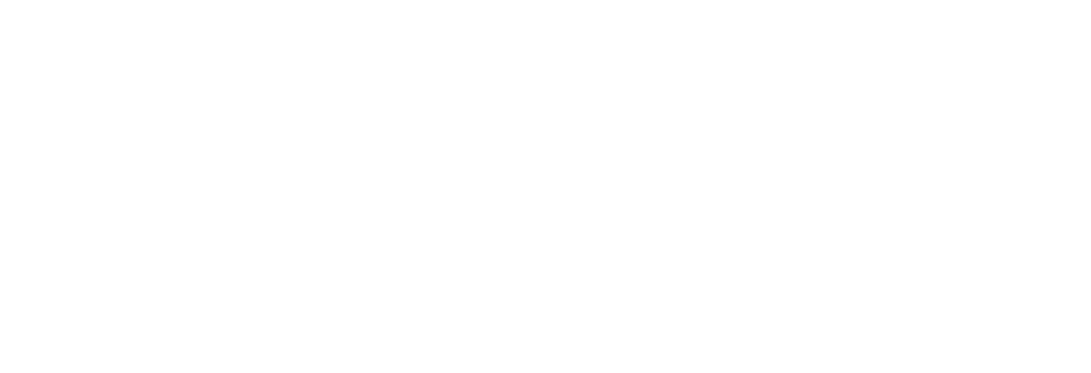 With respect to its programs, services, activities, and employment practices, Colorado Housing and Finance Authority    