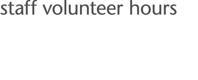 staff volunteer hours
