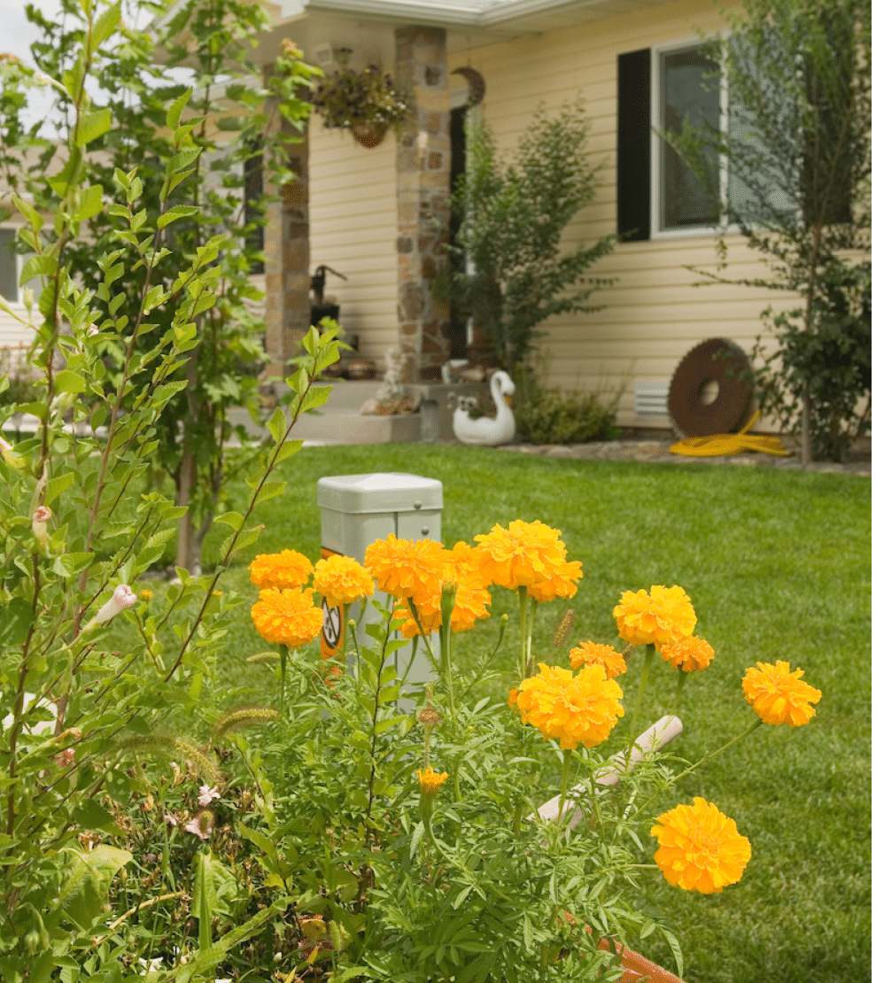 Tabarez Family, Montrose, Colorado Juan and Glenda Tabarez and their children Rose (6), Ivy (6) and Lakota (10)