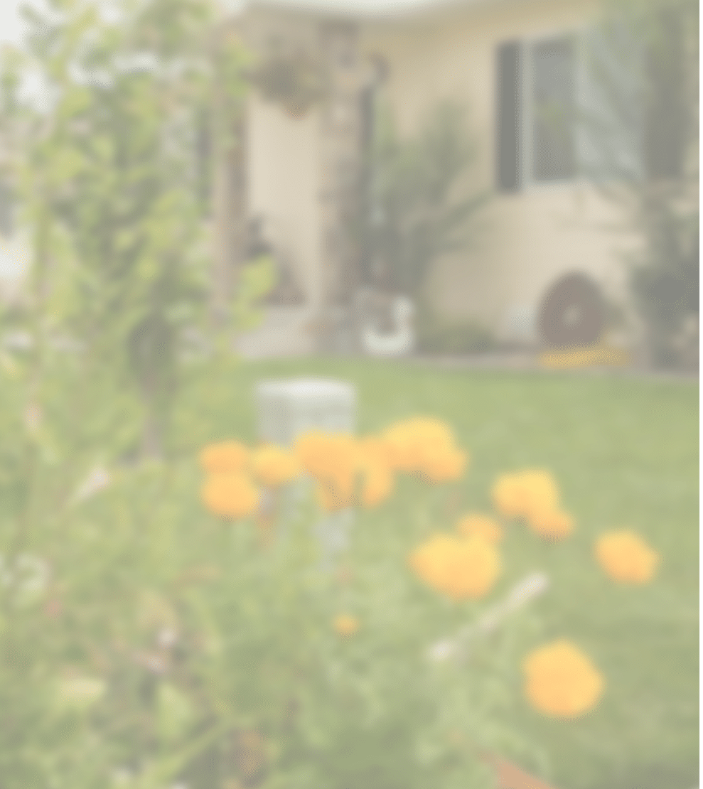 Tabarez Family, Montrose, Colorado Juan and Glenda Tabarez and their children Rose (6), Ivy (6) and Lakota (10)