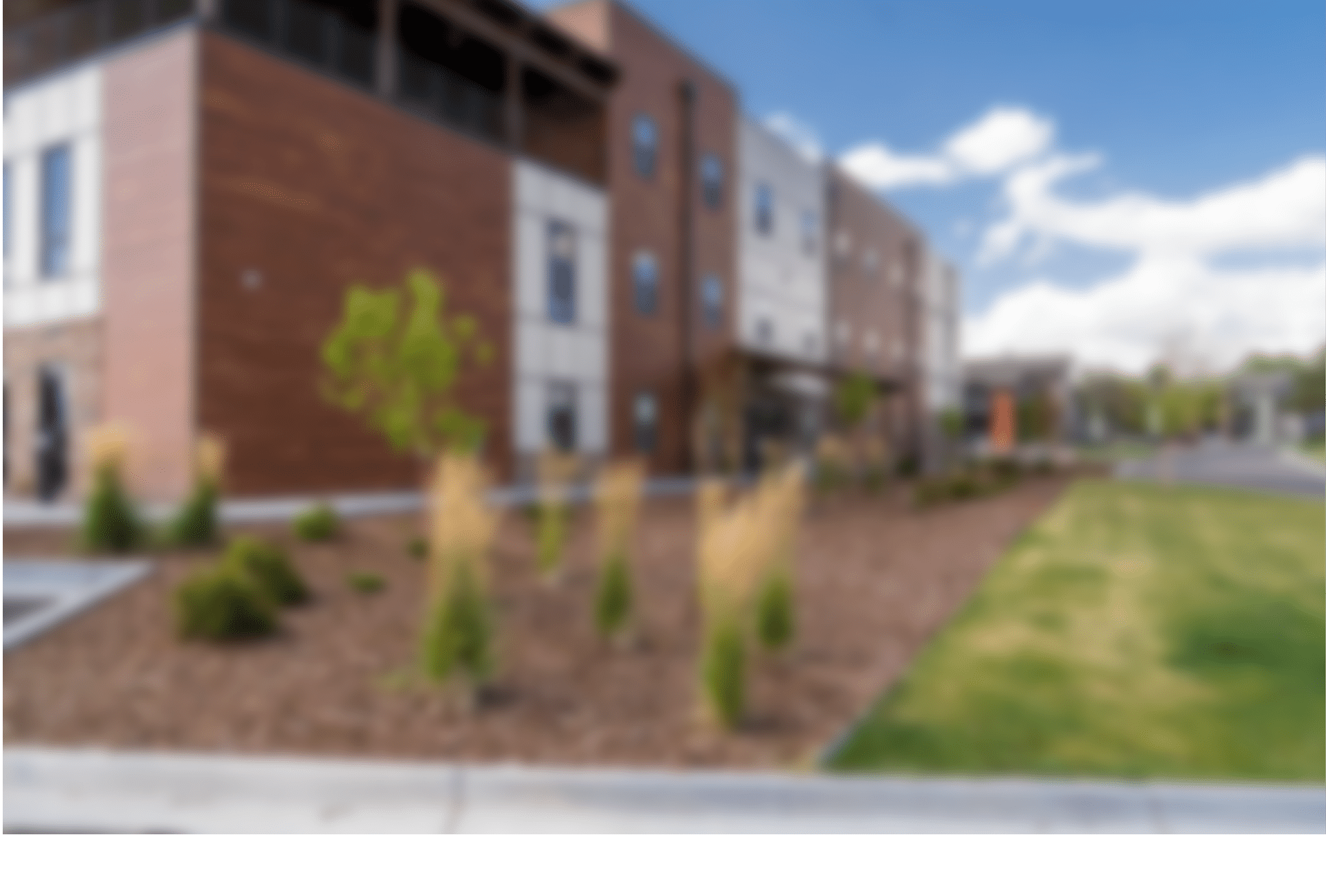 Freedom Springs in Colorado Springs 