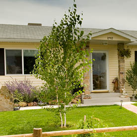 Tabarez Family, Montrose, Colorado Juan and Glenda Tabarez and their children Rose (6), Ivy (6) and Lakota (10)