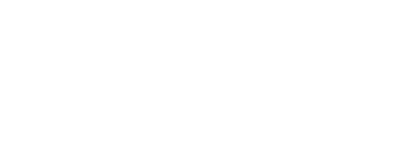 With respect to its programs, services, activities, and employment practices, Colorado Housing and Finance Authority    
